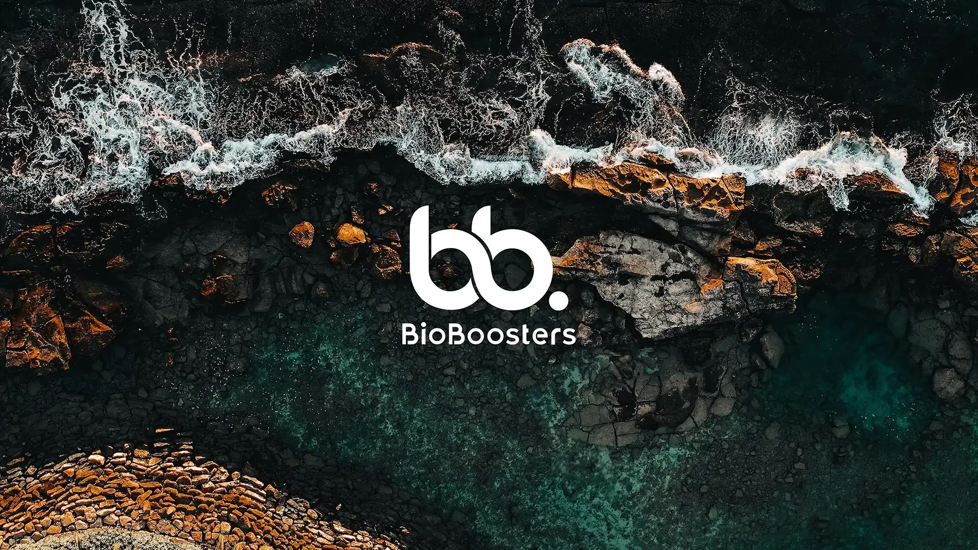 BioBoosters — Visuell identitet som enar partners runt Östersjön (bild 1)