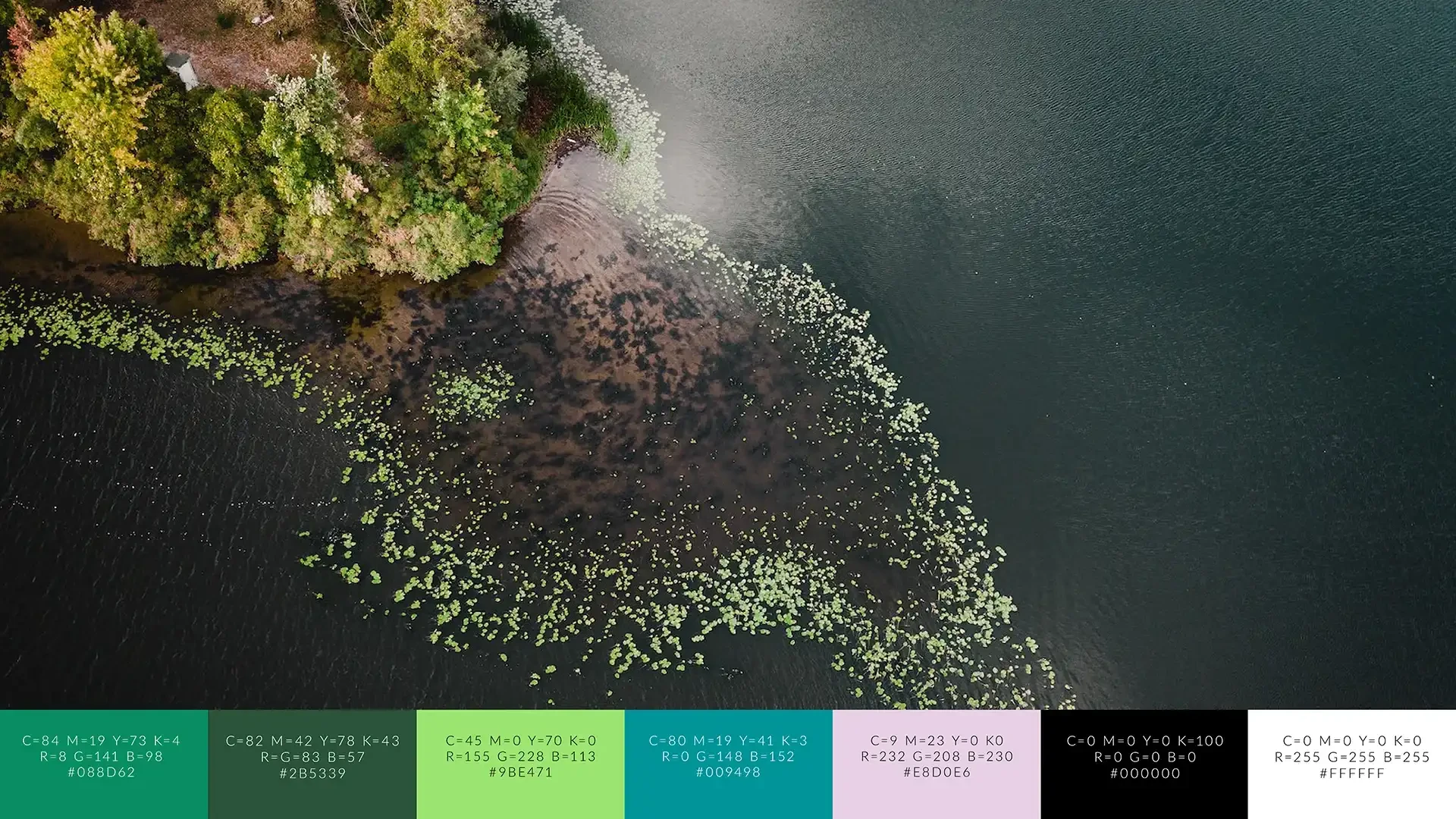 BioBoosters — Visuell identitet som enar partners runt Östersjön (bild 5)