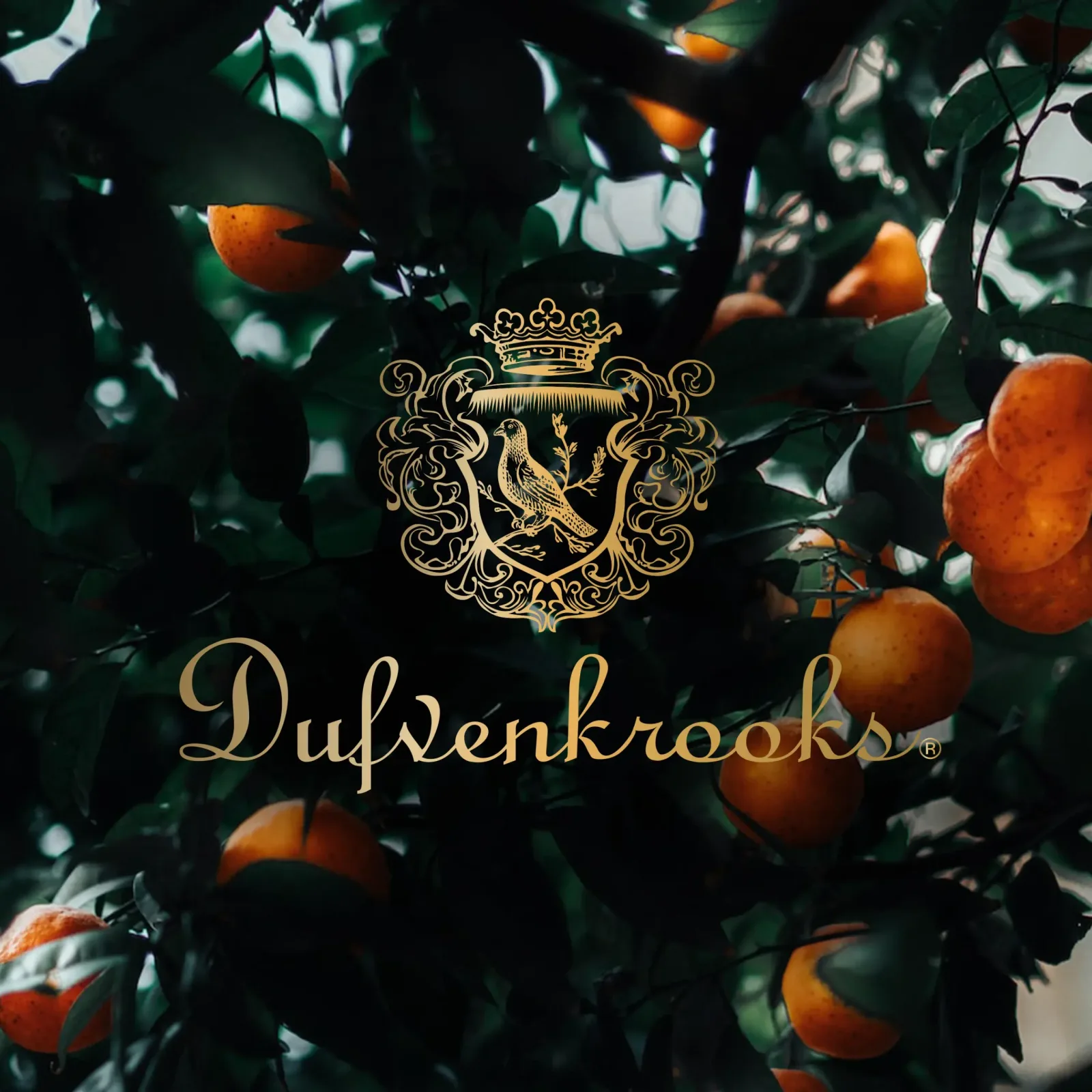 Dufvenkrooks — Ny webbplats för ett klassiskt glöggvarumärke