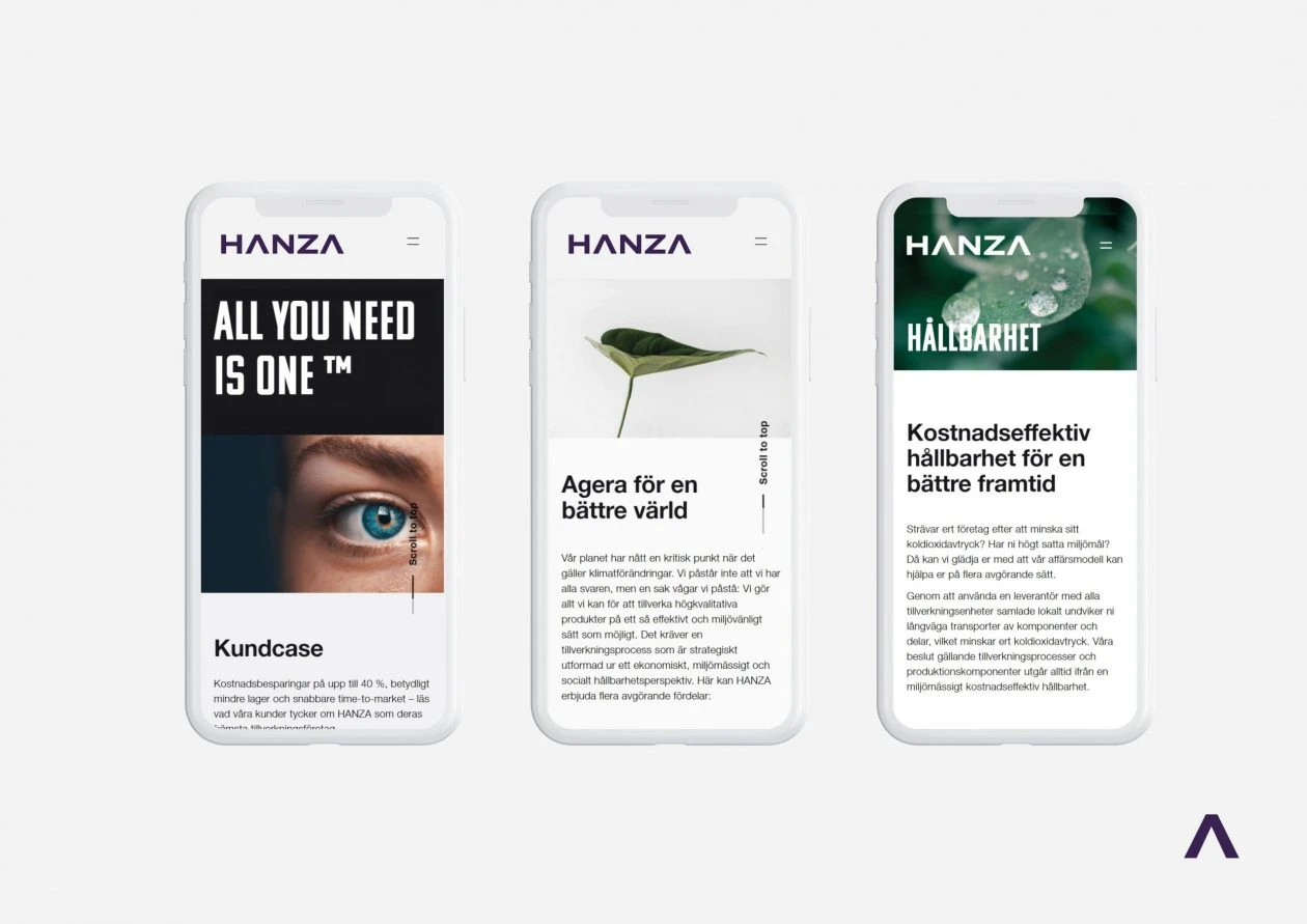HANZA — Global varumärkesplattform för ett börsnoterat industribolag (bild 8)