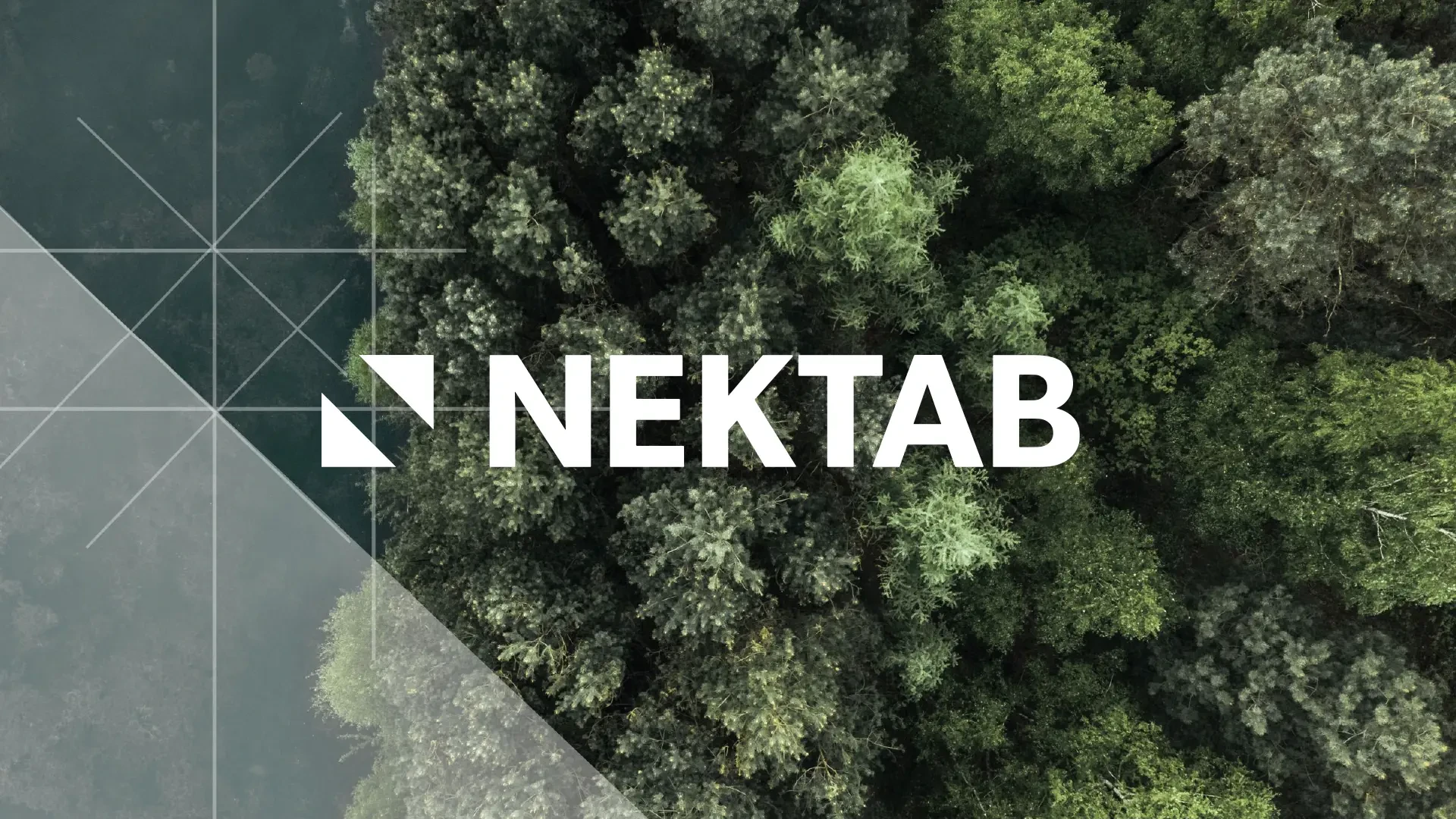 NEKTAB — Modern webbplats som samlar teknik och vision (bild 1)