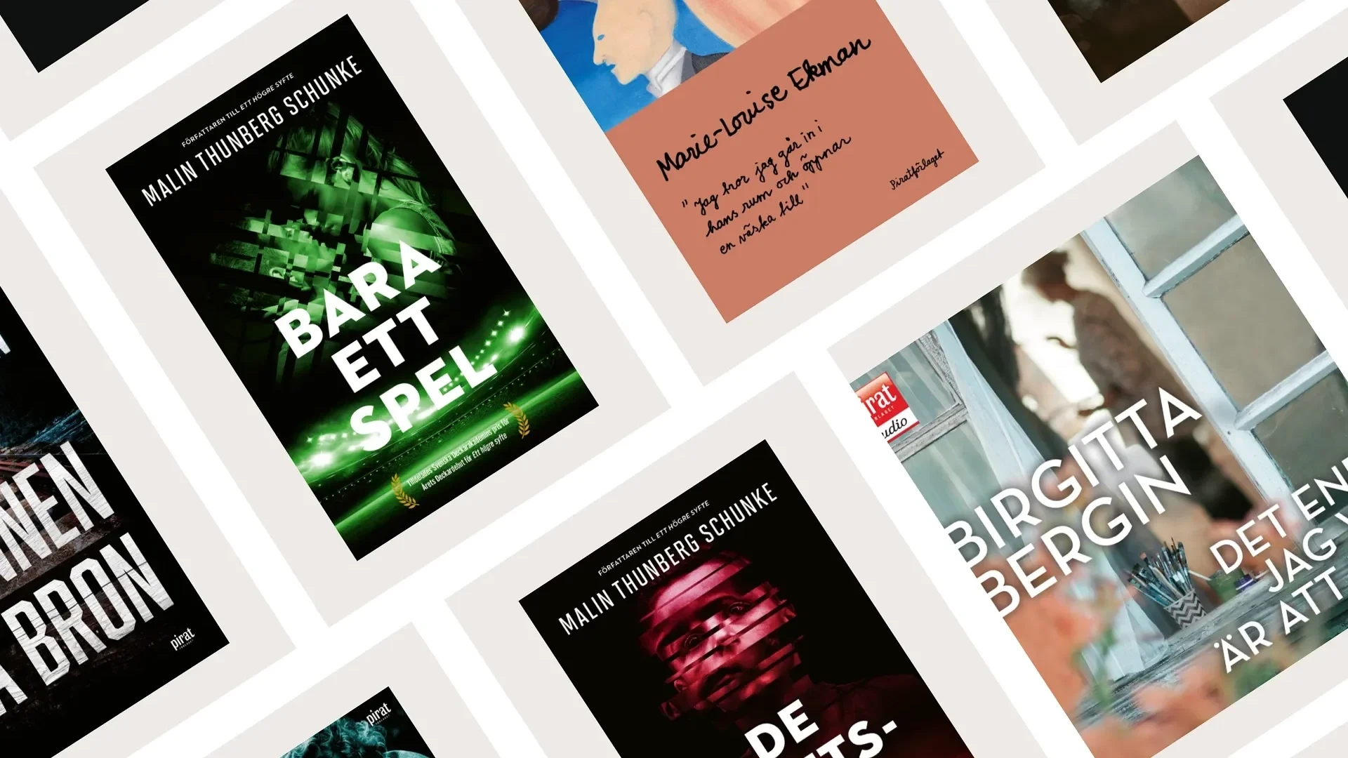 Piratförlaget — E-handel i WooCommerce som samlar hela förlaget (bild 1)