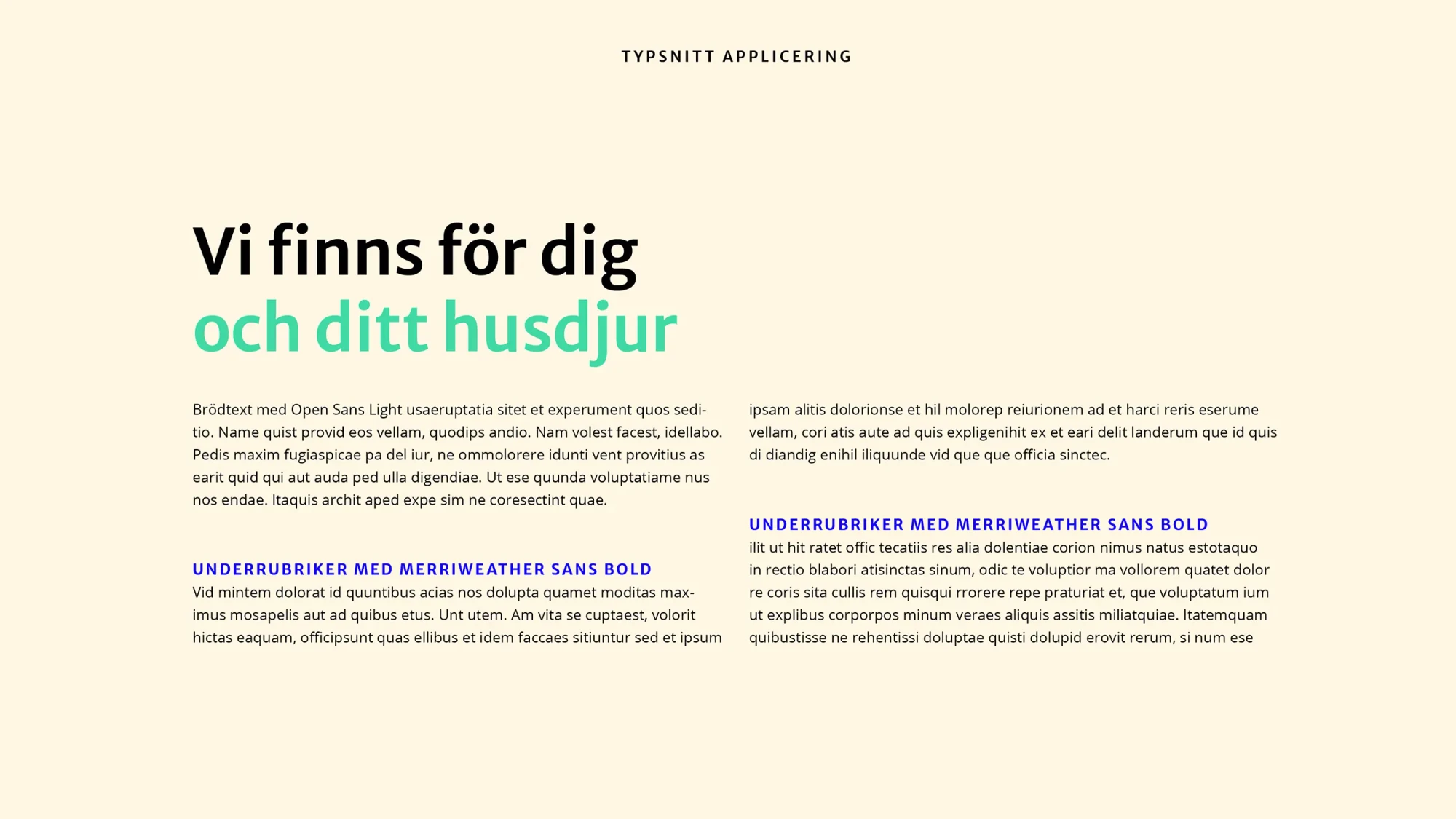 Solstadens Smådjursklinik — Enhetlig grafisk profil och tre webbplatser för djurklinik (bild 4)