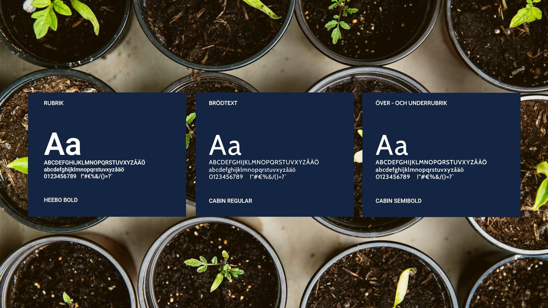 Wermlands Djur & Natur — Modern WooCommerce-webbshop och ny grafisk profil (bild 2)