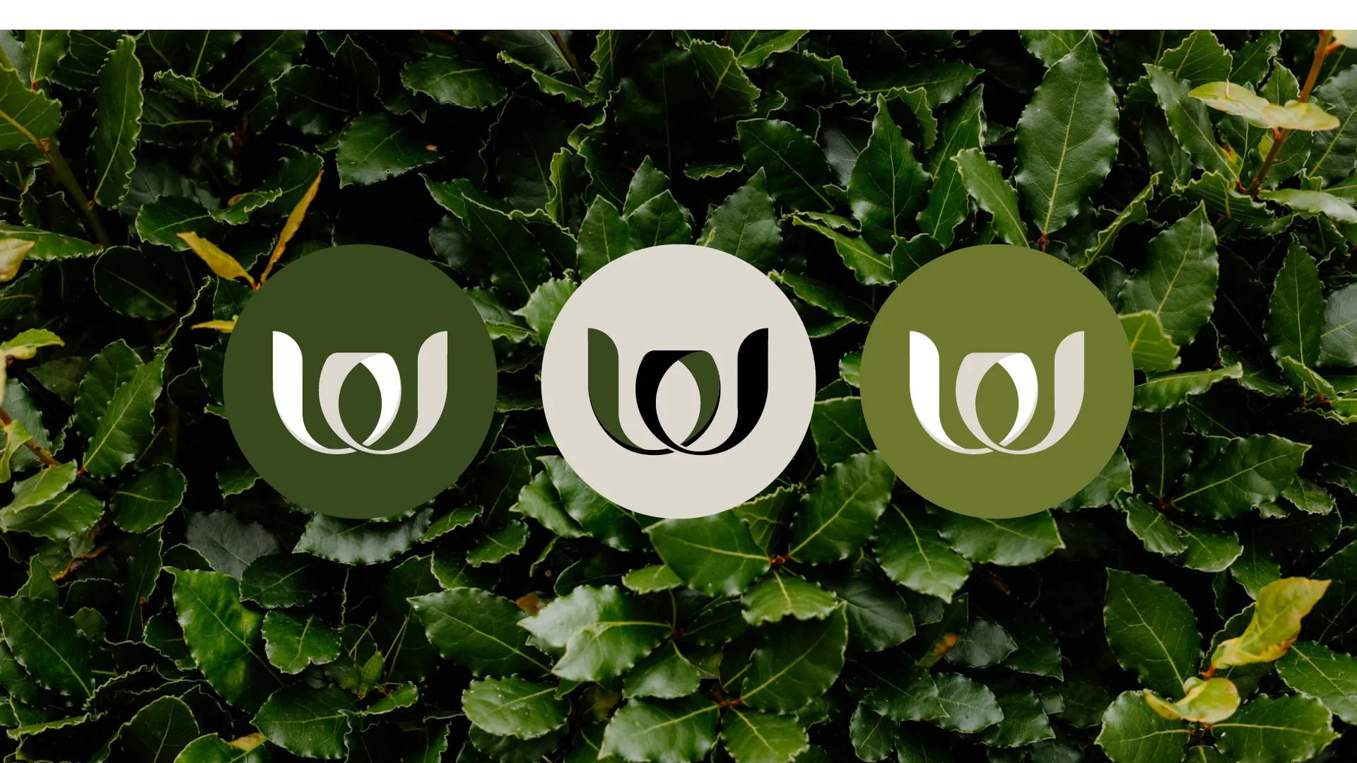 En casebild för projektet Wermlandsform av reklambyrån Gullström & CO i Karlstad.